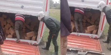 Screenshot 2025 08 23 08 55 48 126 com.instagram.android 360x180 1