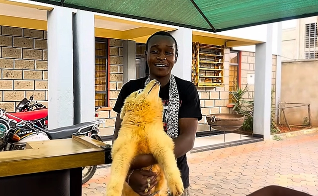 b2e1dc75 34b0 493a 98df 3278ee1aea35