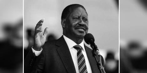 raila pic